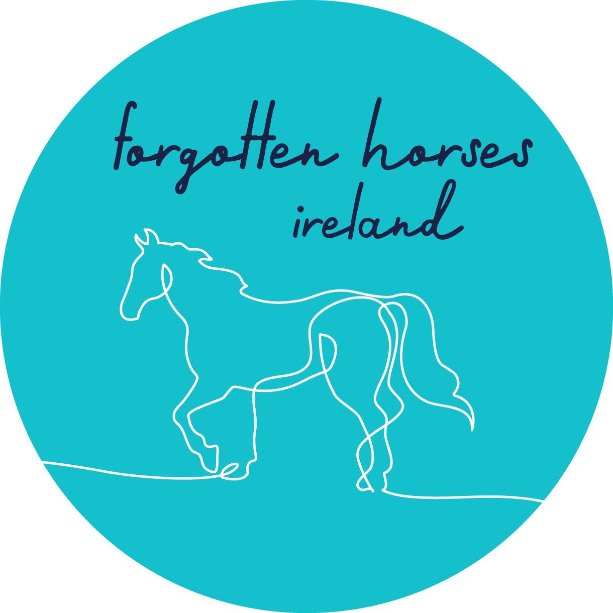 Forgotten Horses Ireland